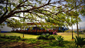 View of the terrace cafe of CR2