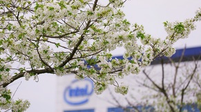 Intel Products CD front side