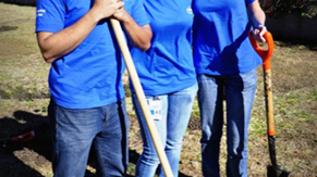 World Water Day Volunteering Event: Tree Planting at a local park