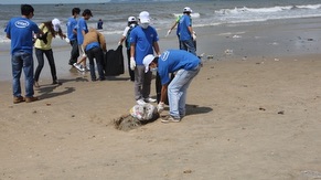 Beach Cleaning