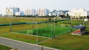 Soccer Field