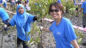 Planting for Future - Mangrove Forest Conservation Program