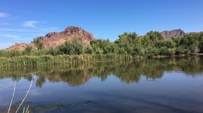 Intel has a long-standing commitment to environmental sustainability. Most recently, we funded several community-based projects in partnership with local nonprofits to restore water back to the local watershed – like this one in Tonto National Forest, which supports the Salt River Basin.