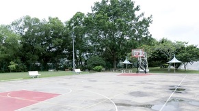 PG9 Basket Ball Court