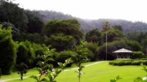 Penang Botanical Garden