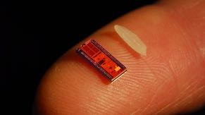 The chips that Intel produces can be as small as a grain of rice.